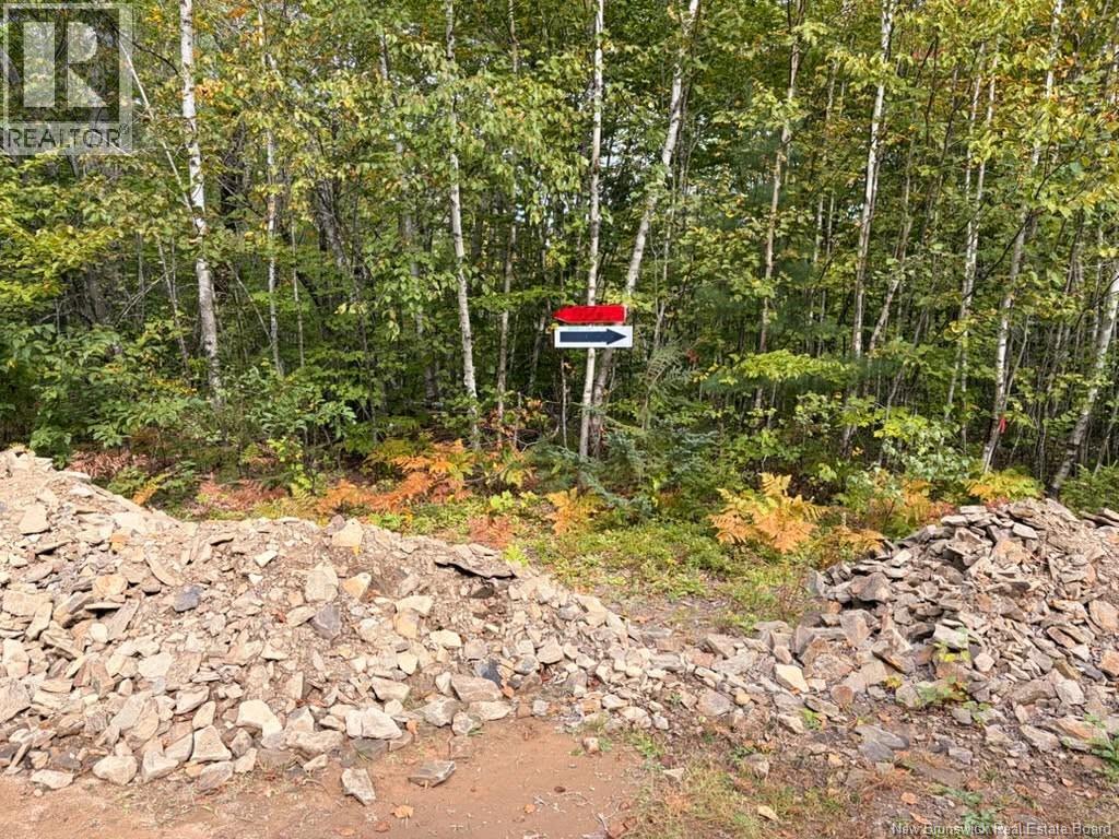 Recreational Woodlot Green Road, Elgin, New Brunswick