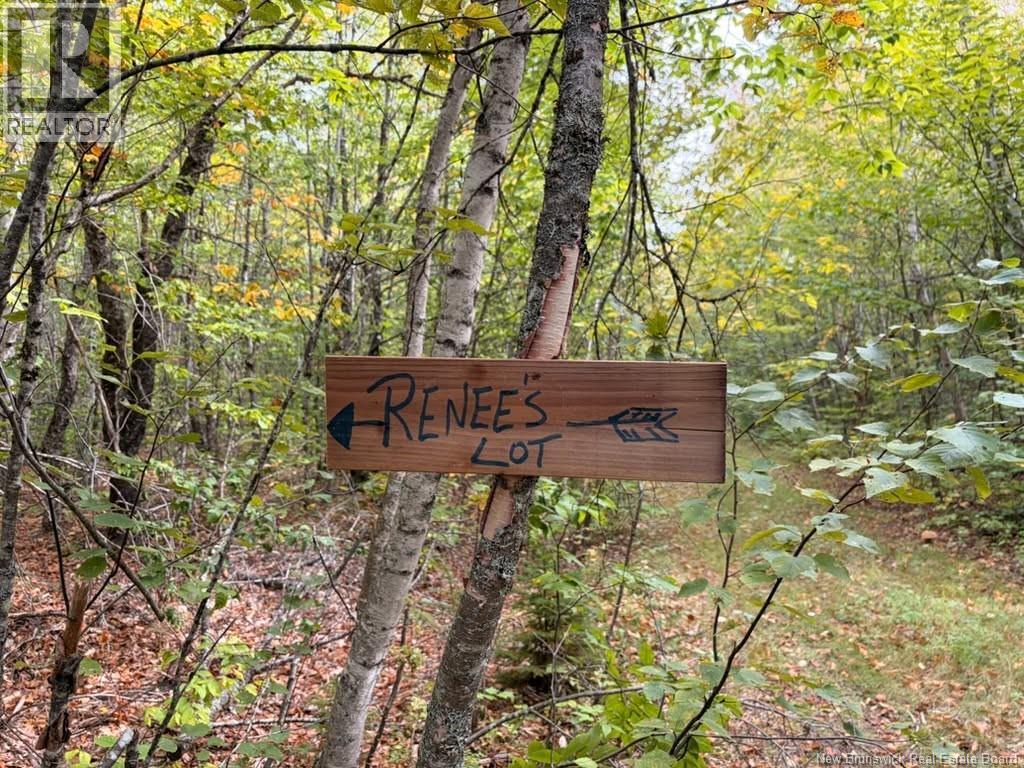 Recreational Woodlot Green Road, Elgin, New Brunswick  E4Z 1T6 - Photo 2 - NB147389