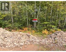 Recreational Woodlot Green Road, elgin, New Brunswick