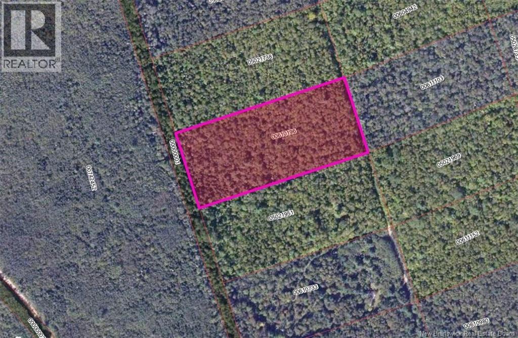 Steeves Lot Green Road, Elgin, New Brunswick  E4T 1T6 - Photo 4 - NB147977