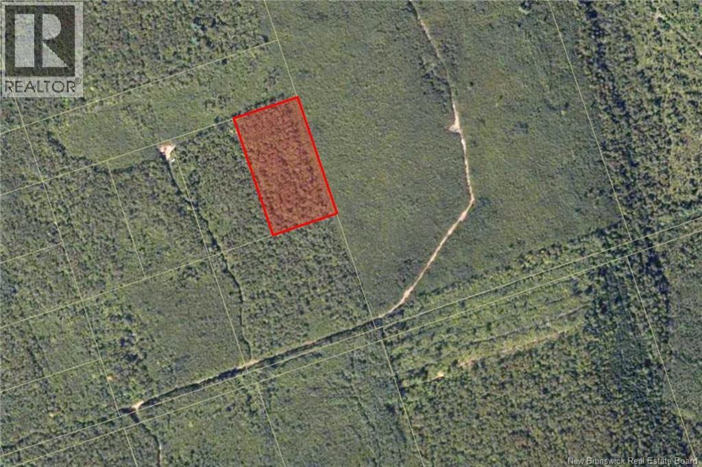 Recreational Woodlot Green Road, Elgin, New Brunswick  E4Z 1T6 - Photo 5 - NB147389
