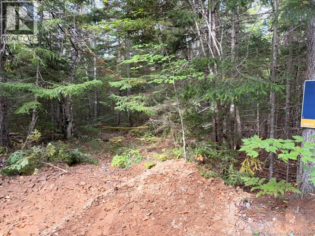Steeves Lot Green Road, Elgin, New Brunswick
