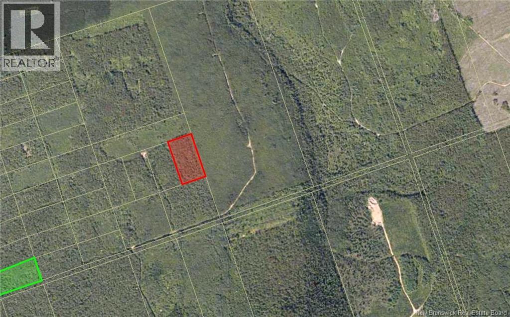 Recreational Woodlot Green Road, Elgin, New Brunswick  E4Z 1T6 - Photo 4 - NB147389