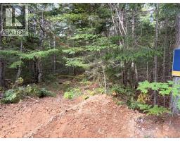 Steeves Lot Green Road, elgin, New Brunswick
