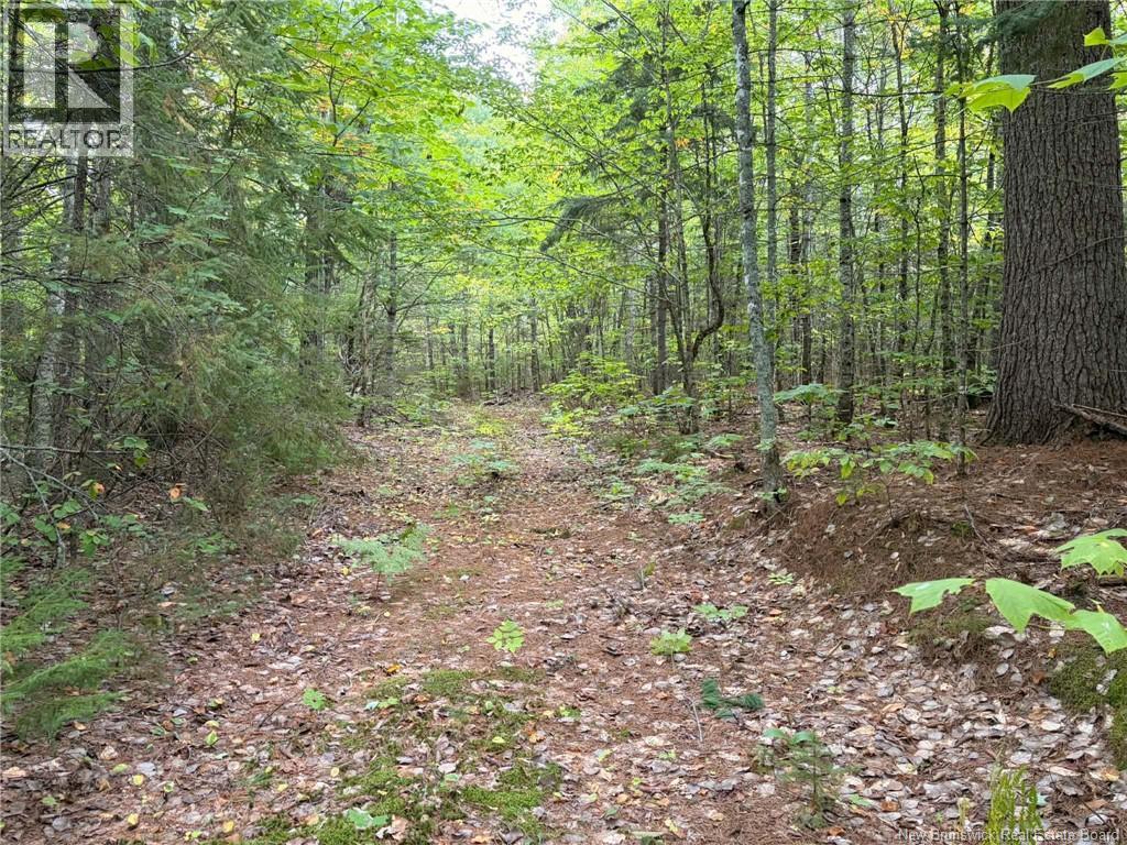 Don's Lot Green Road, Elgin, New Brunswick