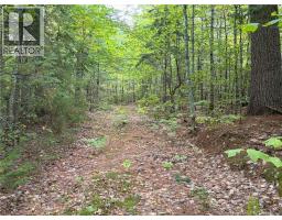 Don's Lot Green Road, elgin, New Brunswick