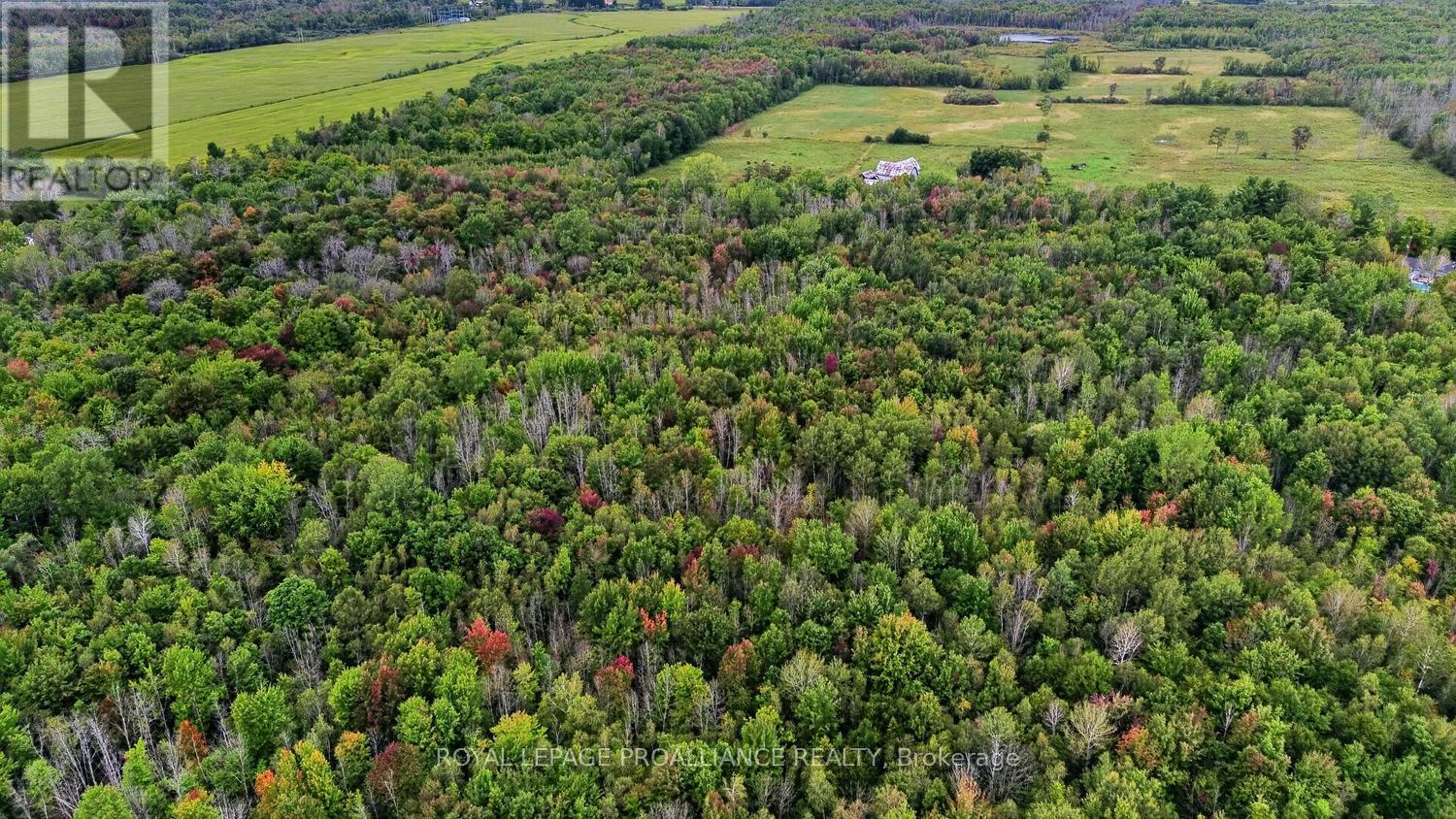 0 Kain Road, Edwardsburgh/cardinal, Ontario  K0E 1E0 - Photo 4 - X13800460