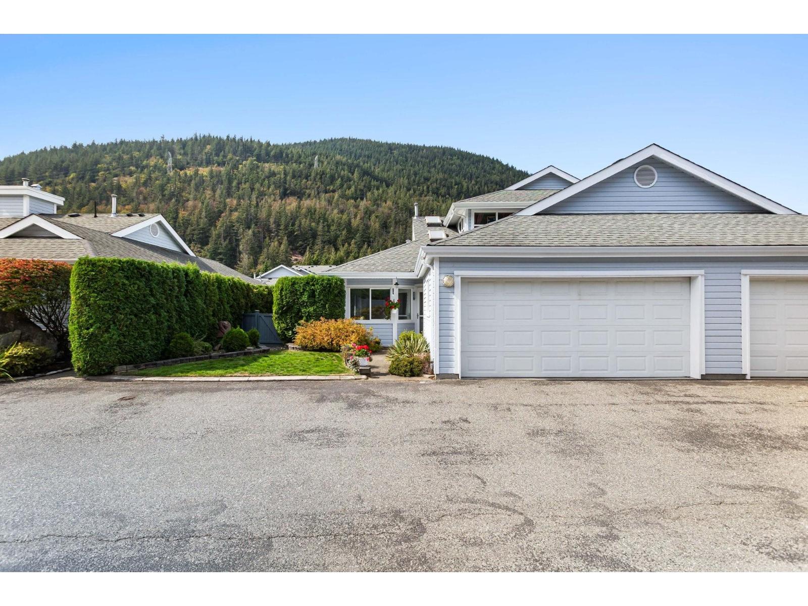 picture 0