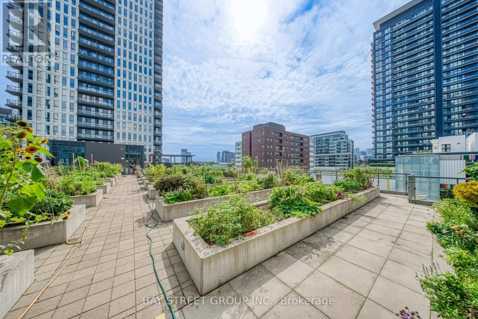 502 - 170 Sumach Street, Toronto (Regent Park), Ontario  M5A 0C3 - Photo 17 - C13800536