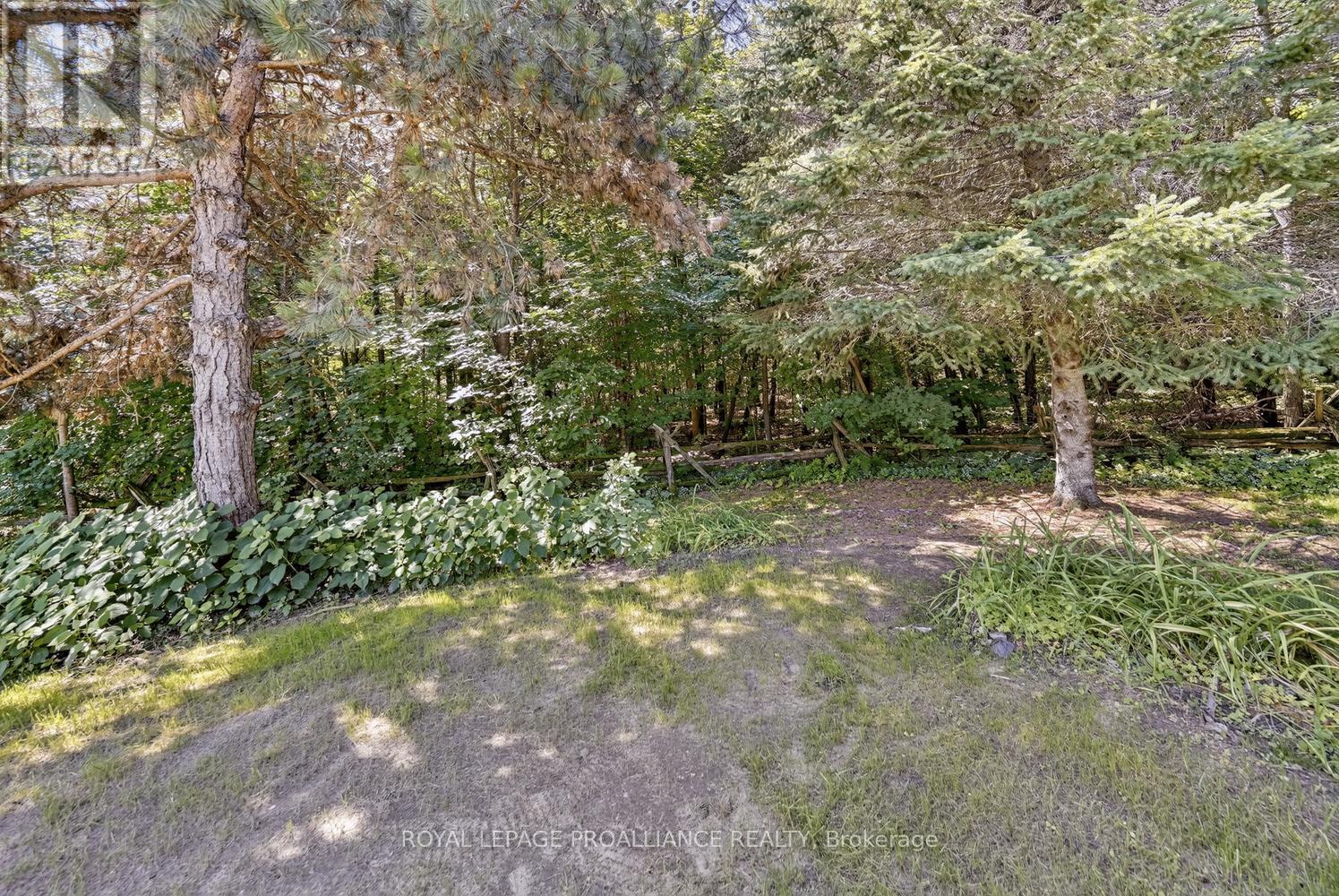 3479 County Rd 26 Road, Augusta, Ontario  K0E 1T0 - Photo 26 - X13800652