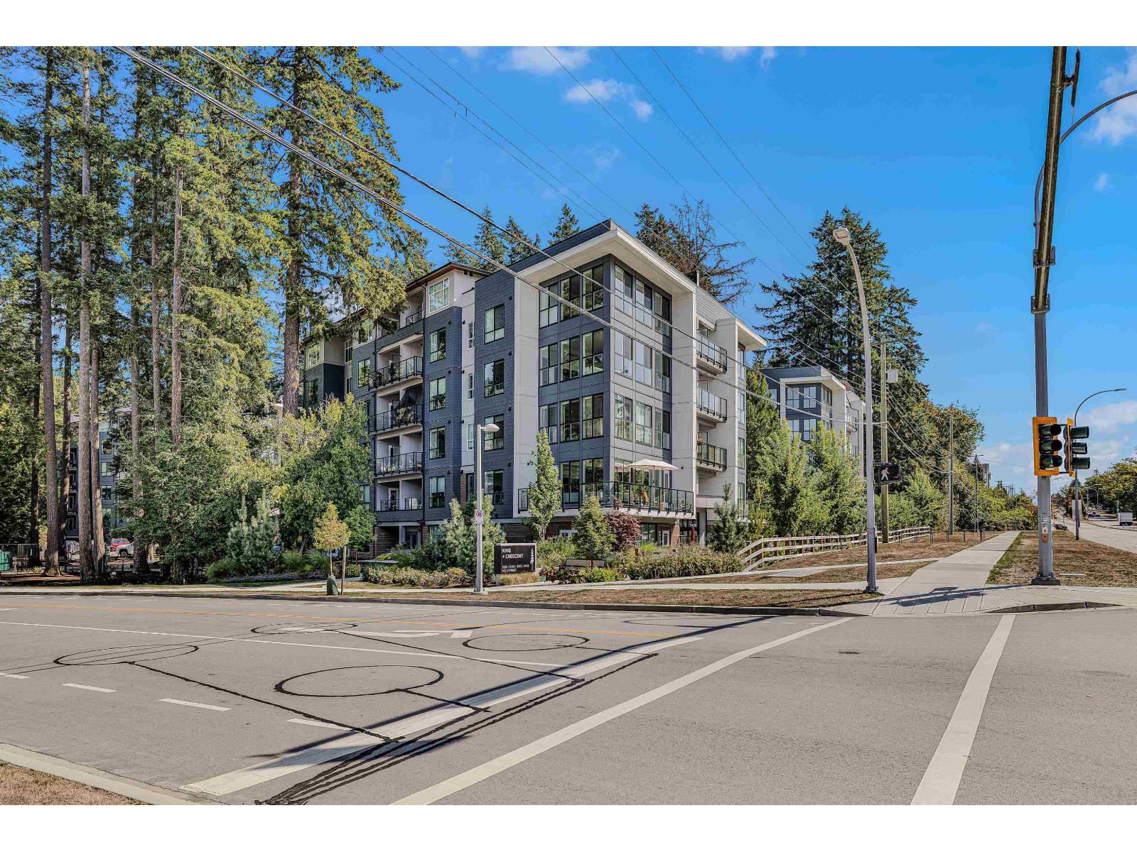 picture 28