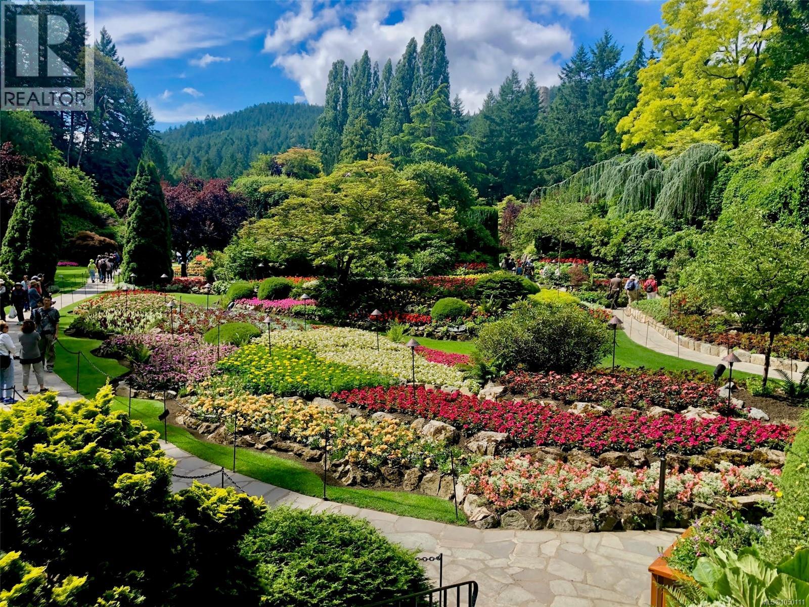 picture 42