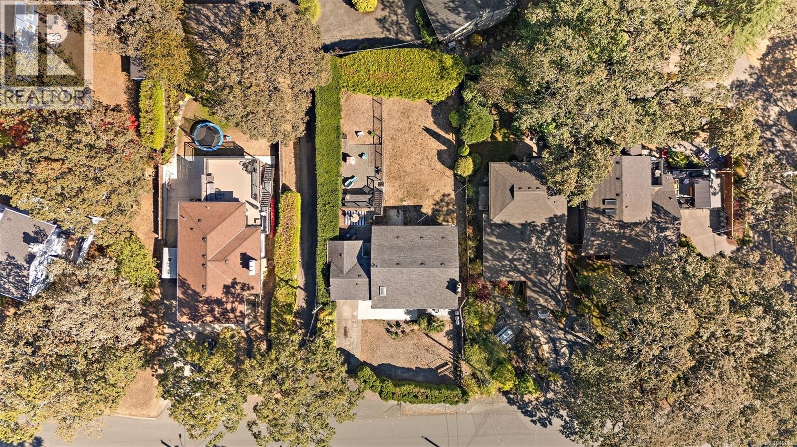 picture 36