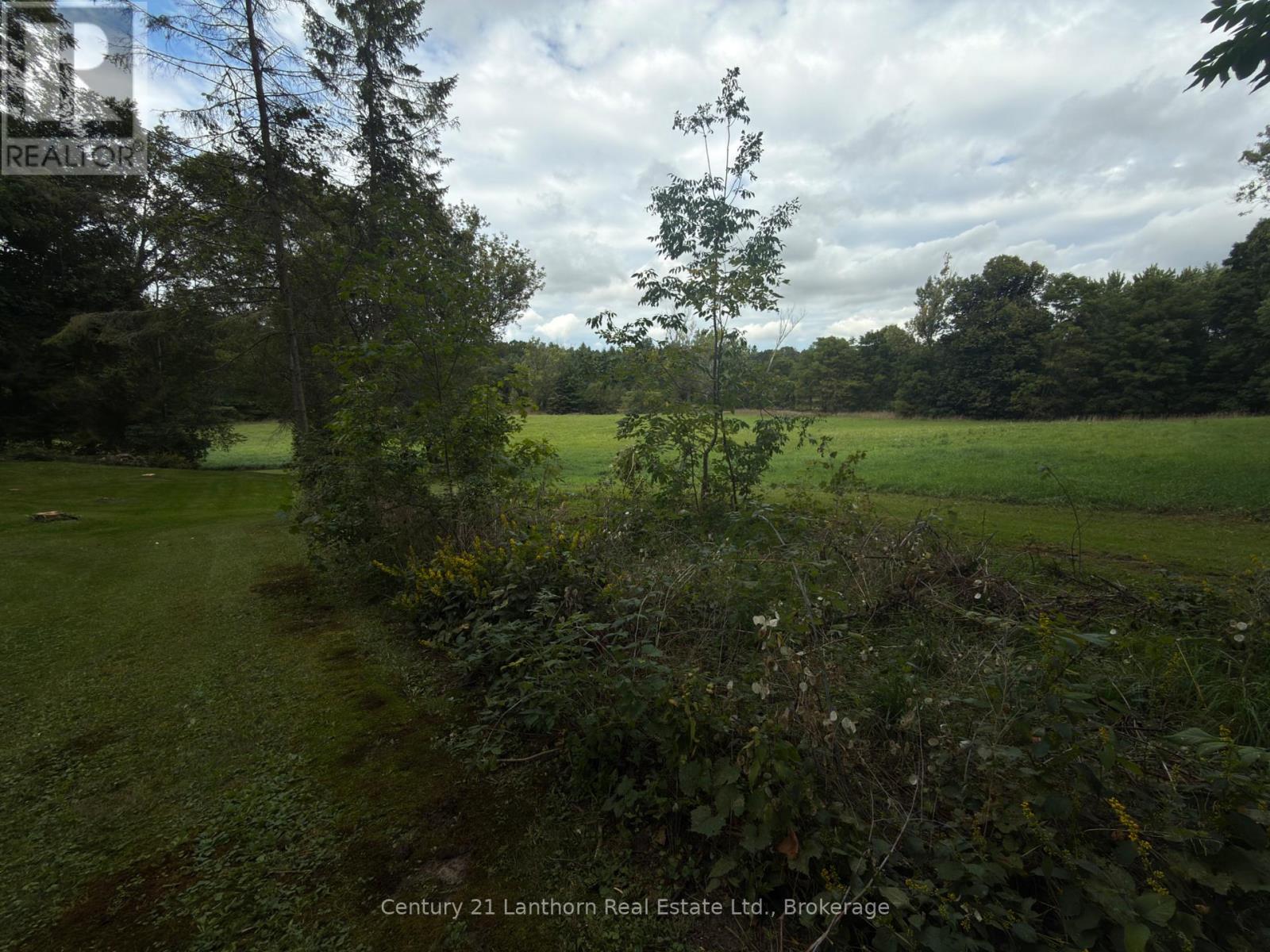 472 County Rd 10 Road W, Prince Edward County, Ontario  K0K 2T0 - Photo 9 - X13800830