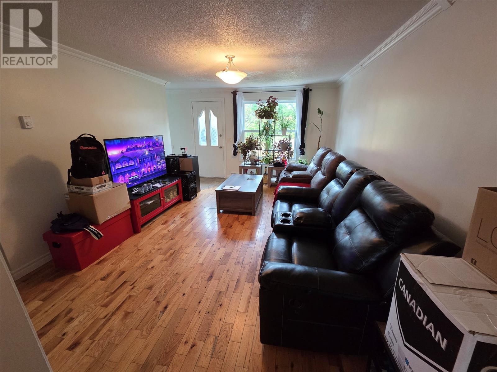 3 Hynes Road, Bishop's Falls — photo 13