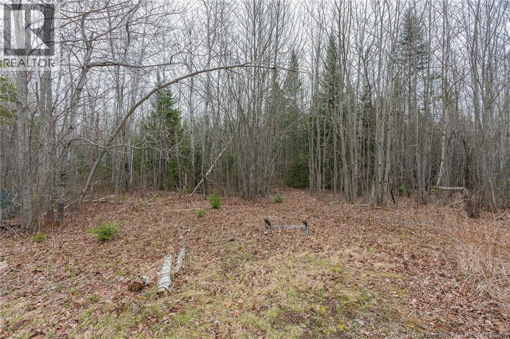 2749 Pleasant Ridge, Rogersville, New Brunswick  E4Y 2X9 - Photo 35 - NB147947