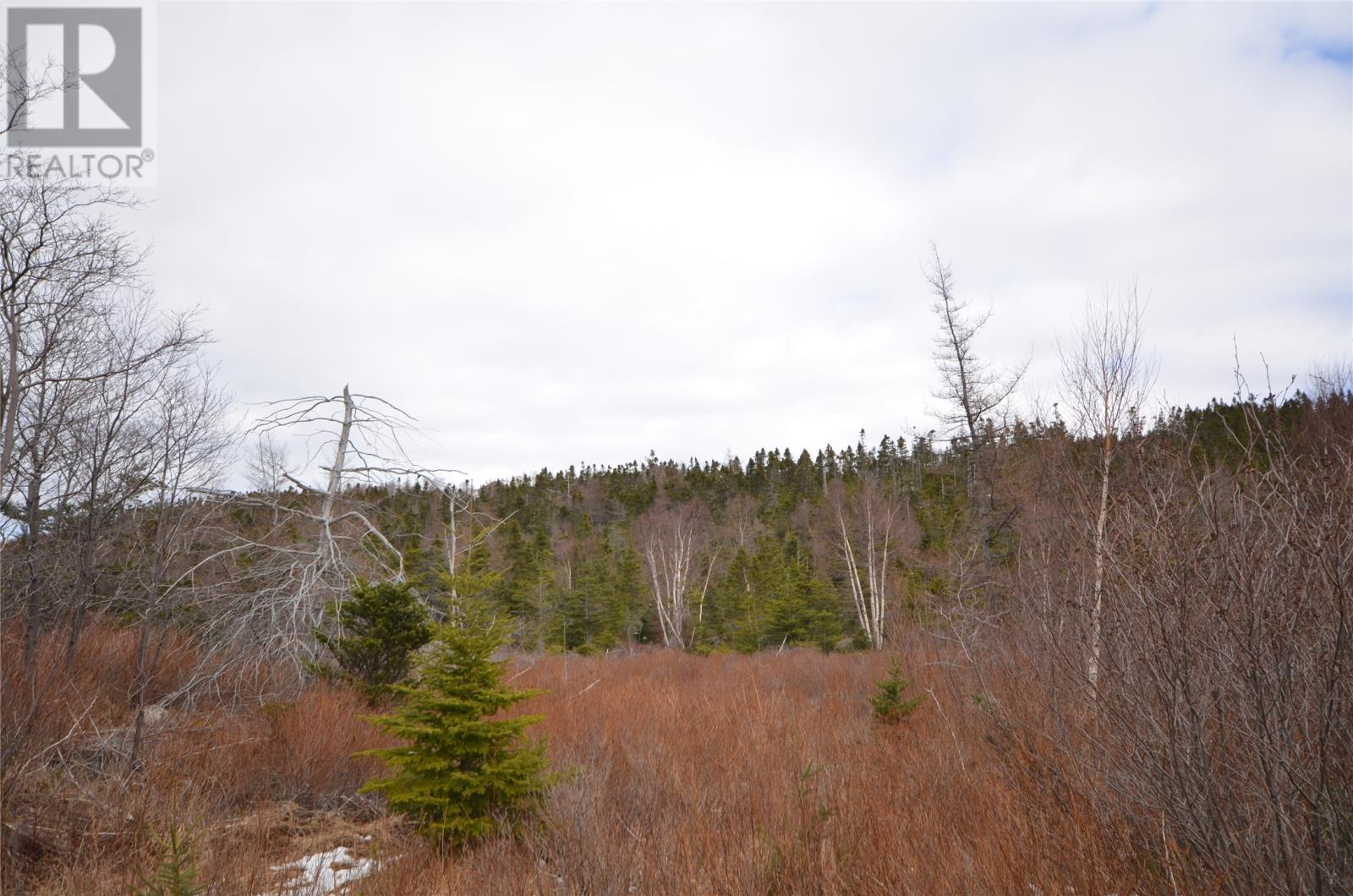 125-127 Red Bridge Road, Conception Bay South — photo 4