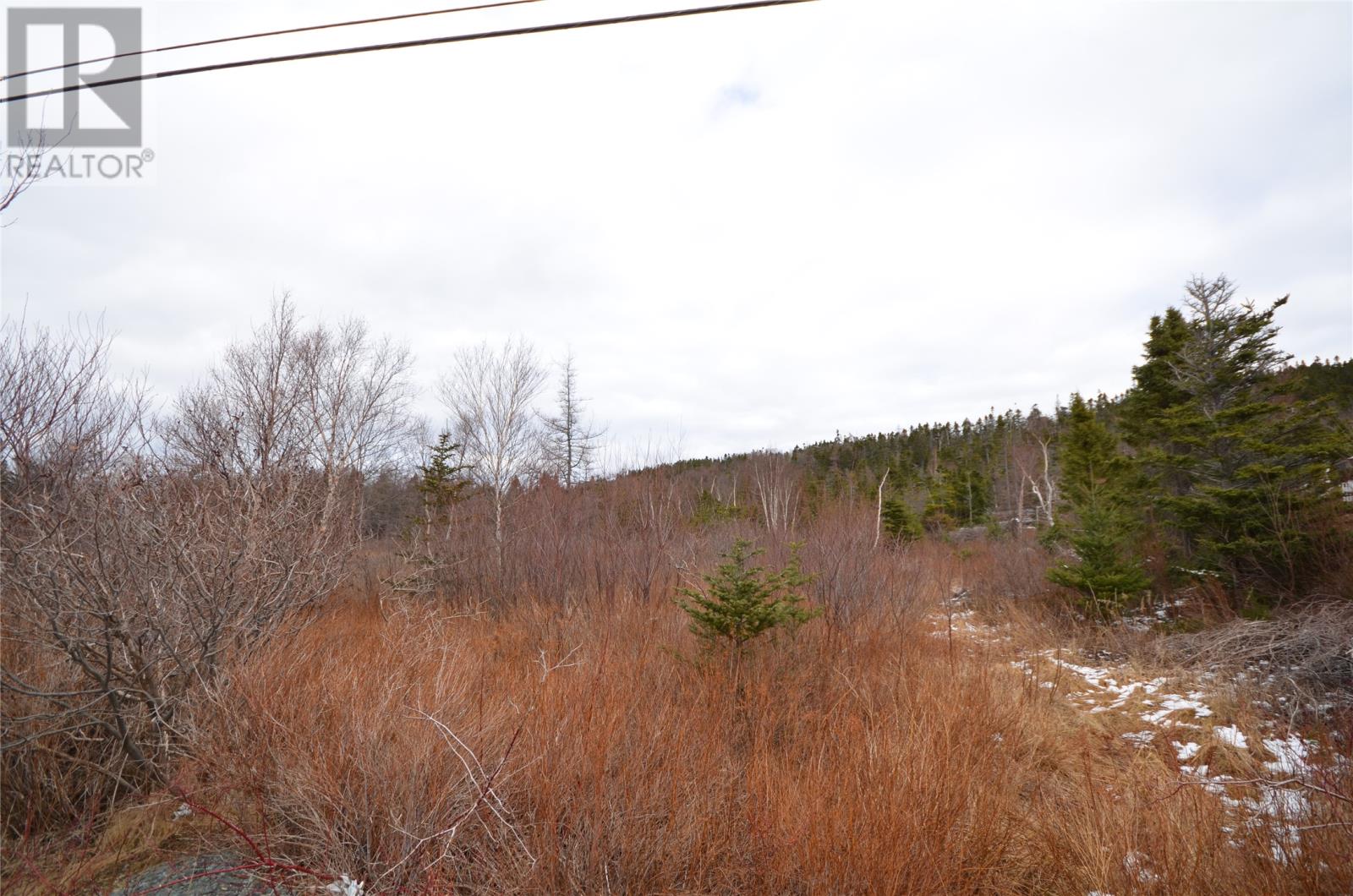 125-127 Red Bridge Road, Conception Bay South — photo 5