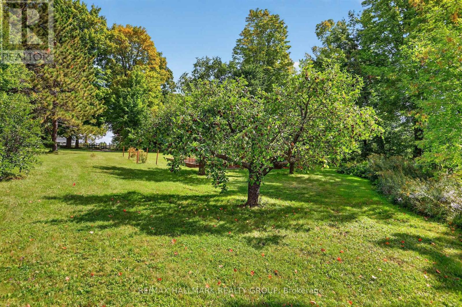765 Scheel Drive, Mcnab/braeside, Ontario  K7S 3G8 - Photo 36 - X13797978