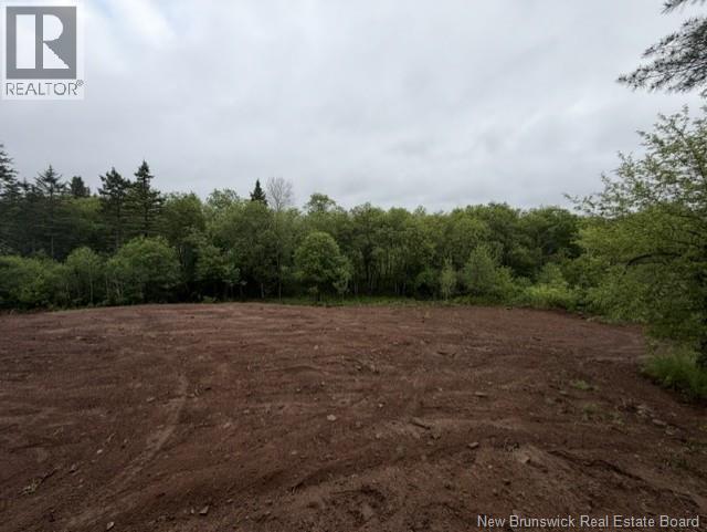 15 Hazel, New Canaan, New Brunswick  E4Z 6B2 - Photo 39 - NB148085