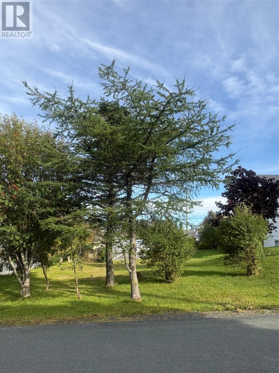 15 Cedar Drive, St. John's