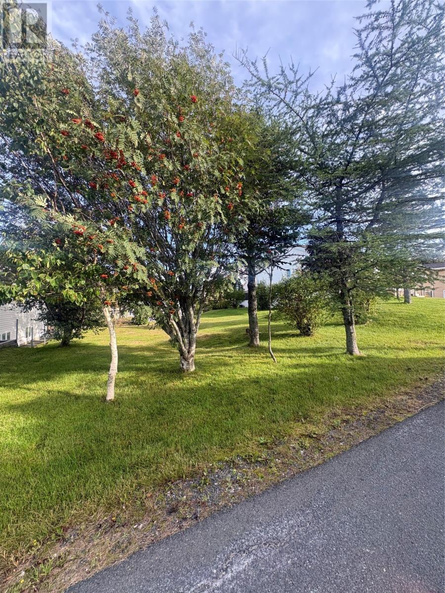 15 Cedar Drive, St. John's — photo 4