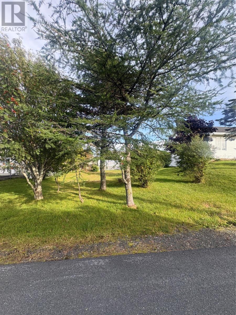 15 Cedar Drive, St. John's — photo 5