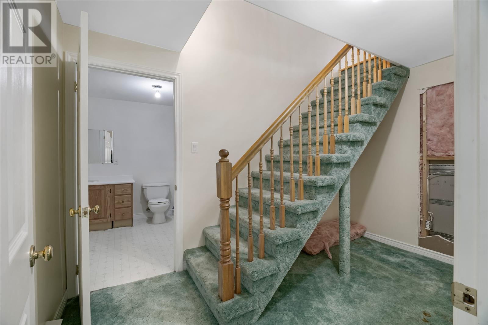 17 Cedar Drive, St. John's — photo 17