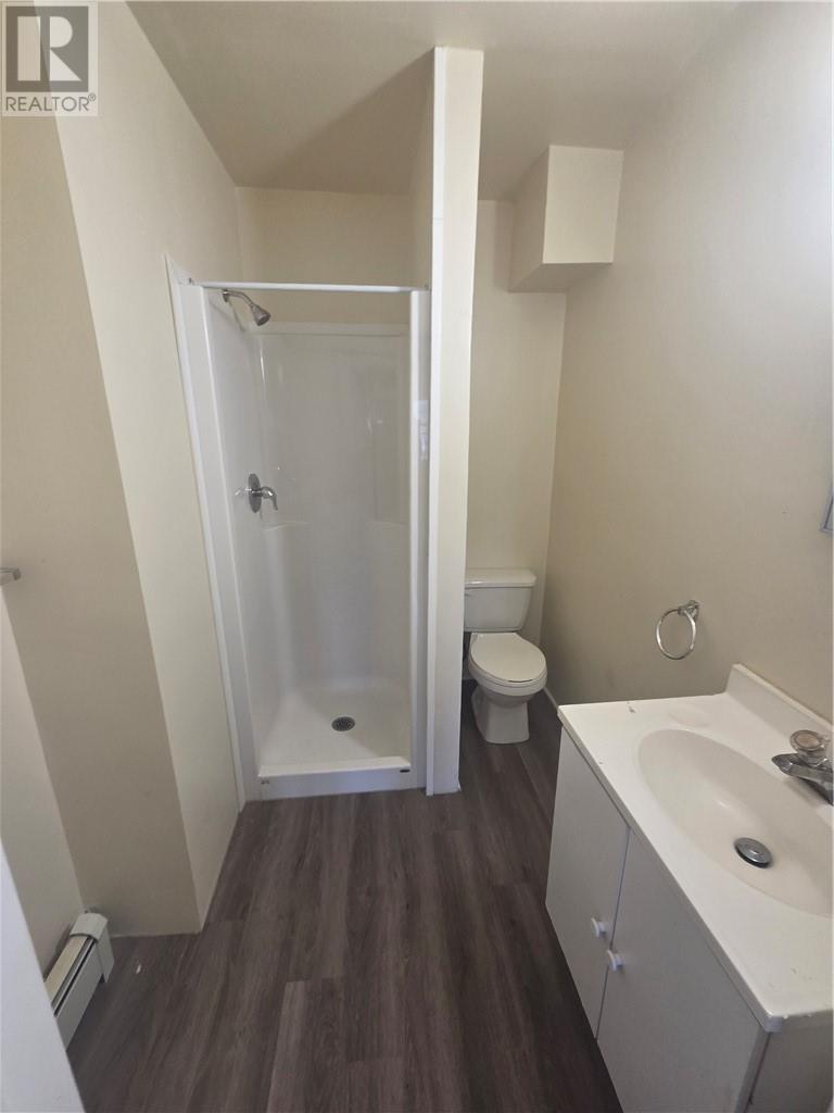238-240 Van Horne Street, Sudbury, Ontario  P3B 1H9 - Photo 17 - 2130468