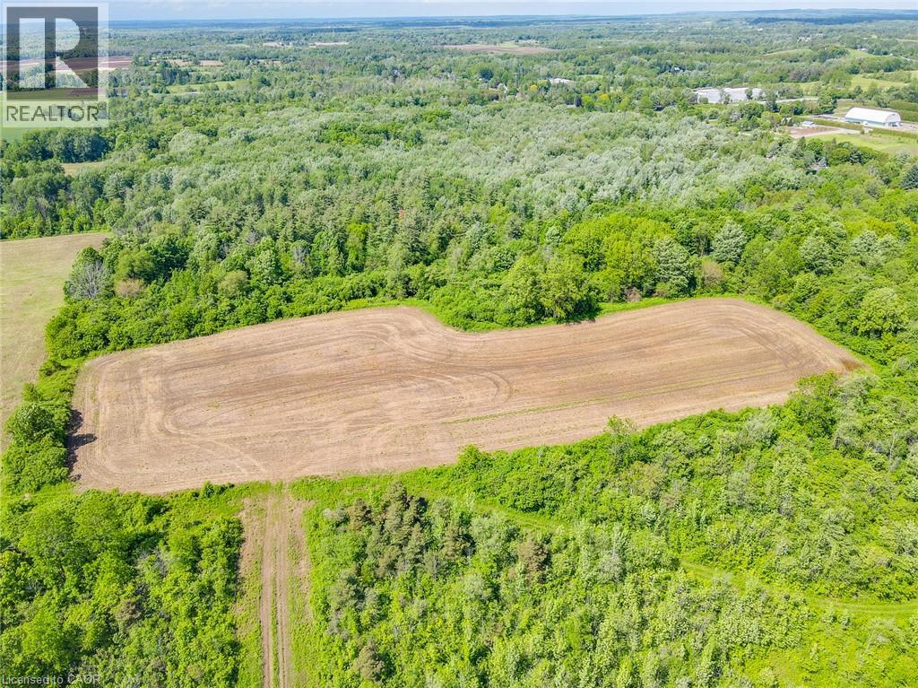 875 Safari Road, Hamilton, Ontario  L8B 1S9 - Photo 9 - 40855199