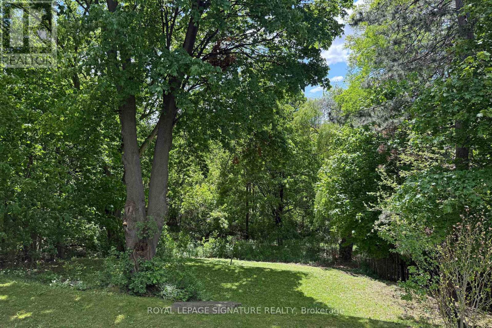 12 Ruden Crescent, Toronto, Ontario  M3A 3H3 - Photo 36 - C13801194