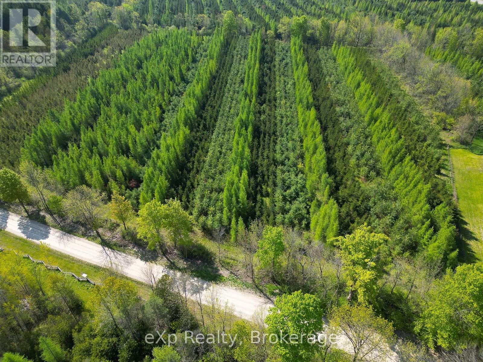 Pt Lt 13 Con 1 Side Road 10, Chatsworth, Ontario  N0H 1G0 - Photo 11 - X13801400