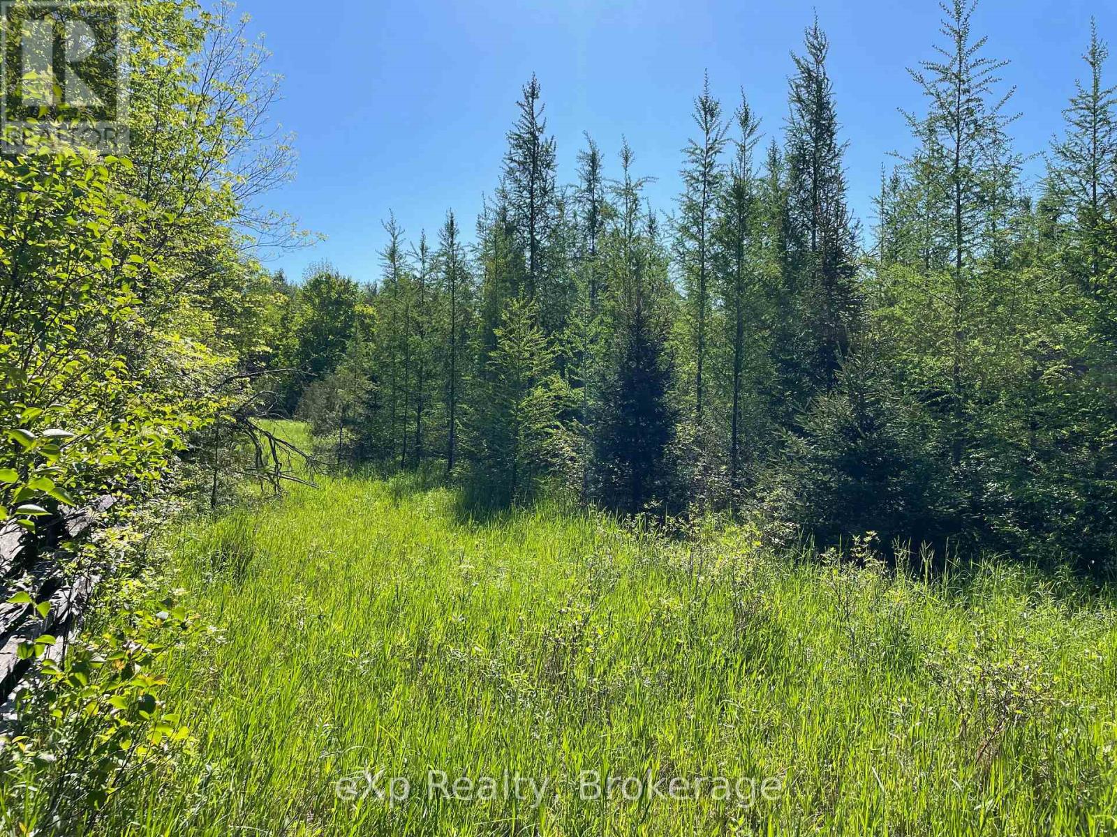 Pt Lt 13 Con 1 Side Road 10, Chatsworth, Ontario  N0H 1G0 - Photo 15 - X13801400