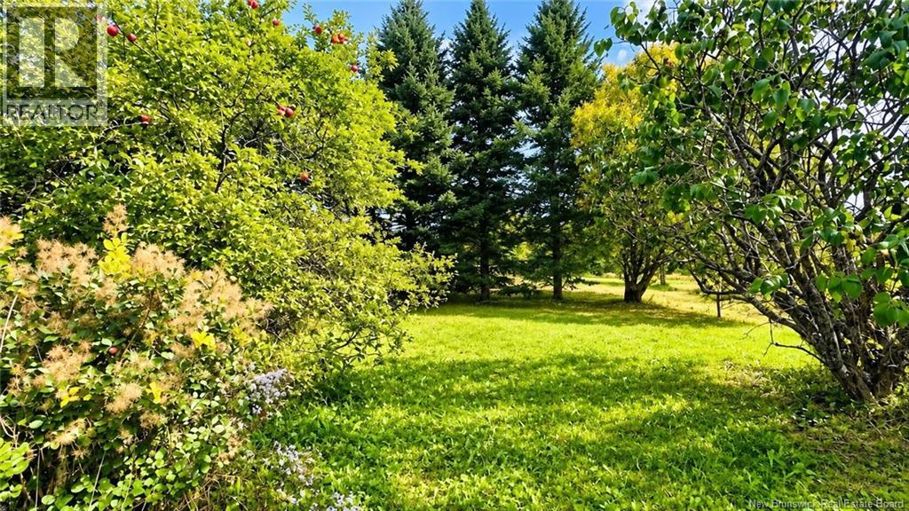 133 Smith Road, Hartley Settlement, New Brunswick  E7K 2X2 - Photo 18 - NB147901
