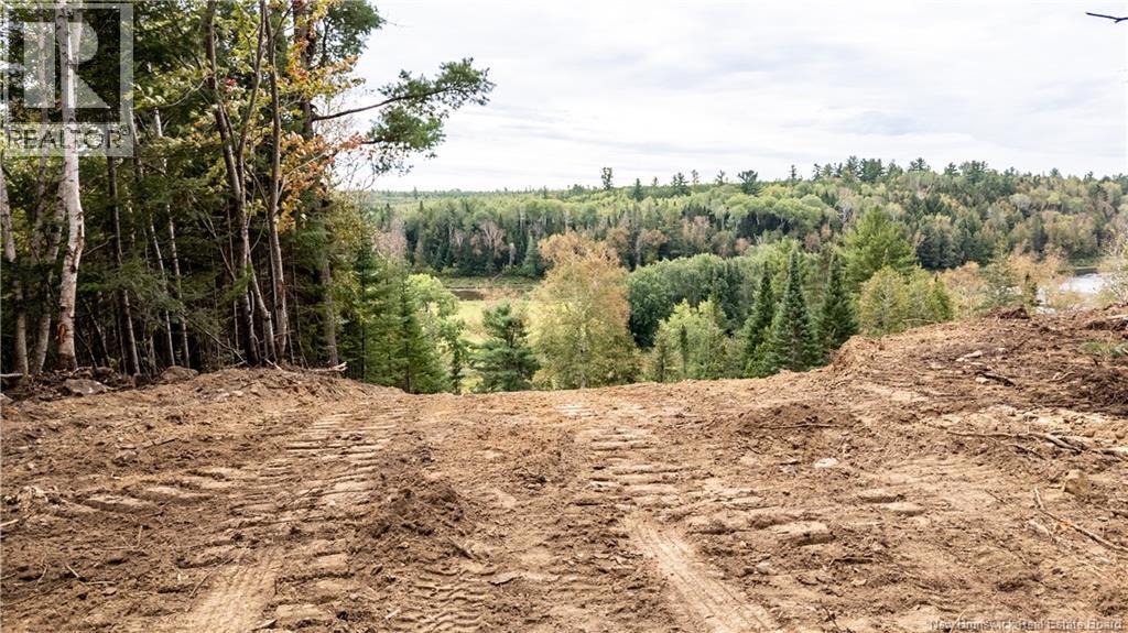 Lot 614 Howard Road, Upper Blackville, New Brunswick  E9B 2K6 - Photo 10 - NB148154