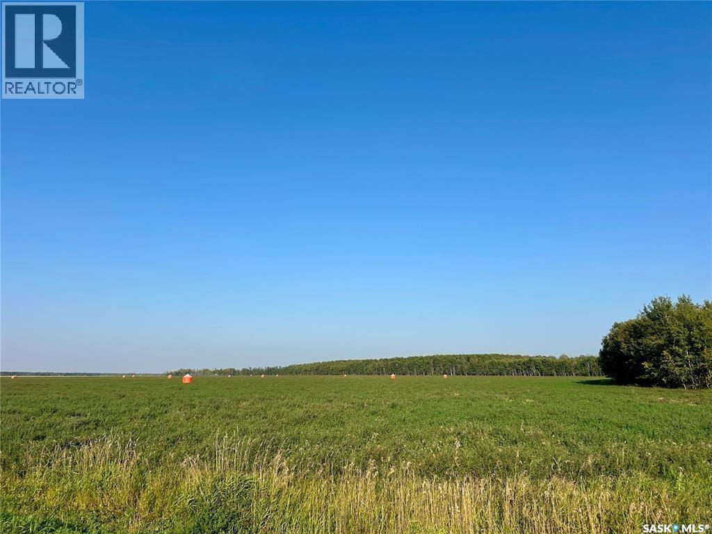 Cragg Home Quarter, Arborfield Rm No. 456, Saskatchewan  S0E 0A0 - Photo 49 - SK048639