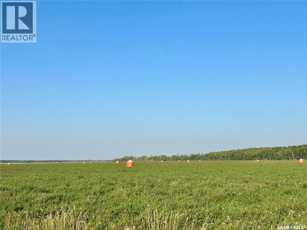 Cragg Home Quarter, Arborfield Rm No. 456, Saskatchewan  S0E 0A0 - Photo 50 - SK048639