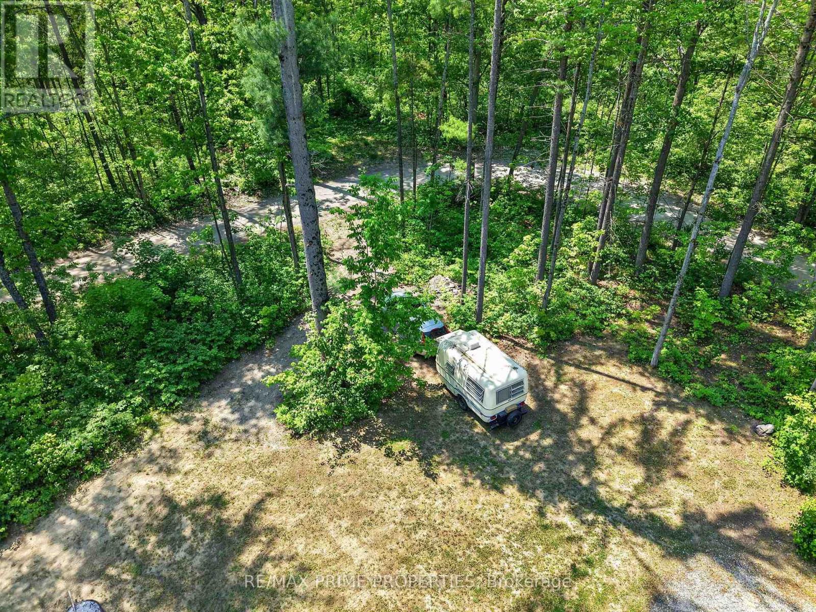 133 Stanley Road, Kawartha Lakes, Ontario  K0M 2T0 - Photo 34 - X13801796