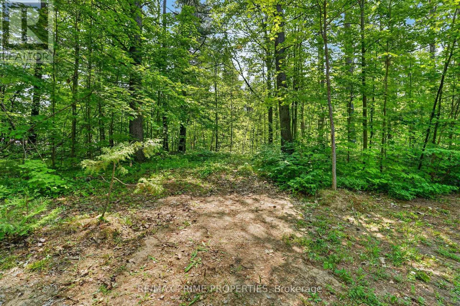133 Stanley Road, Kawartha Lakes, Ontario  K0M 2T0 - Photo 37 - X13801796