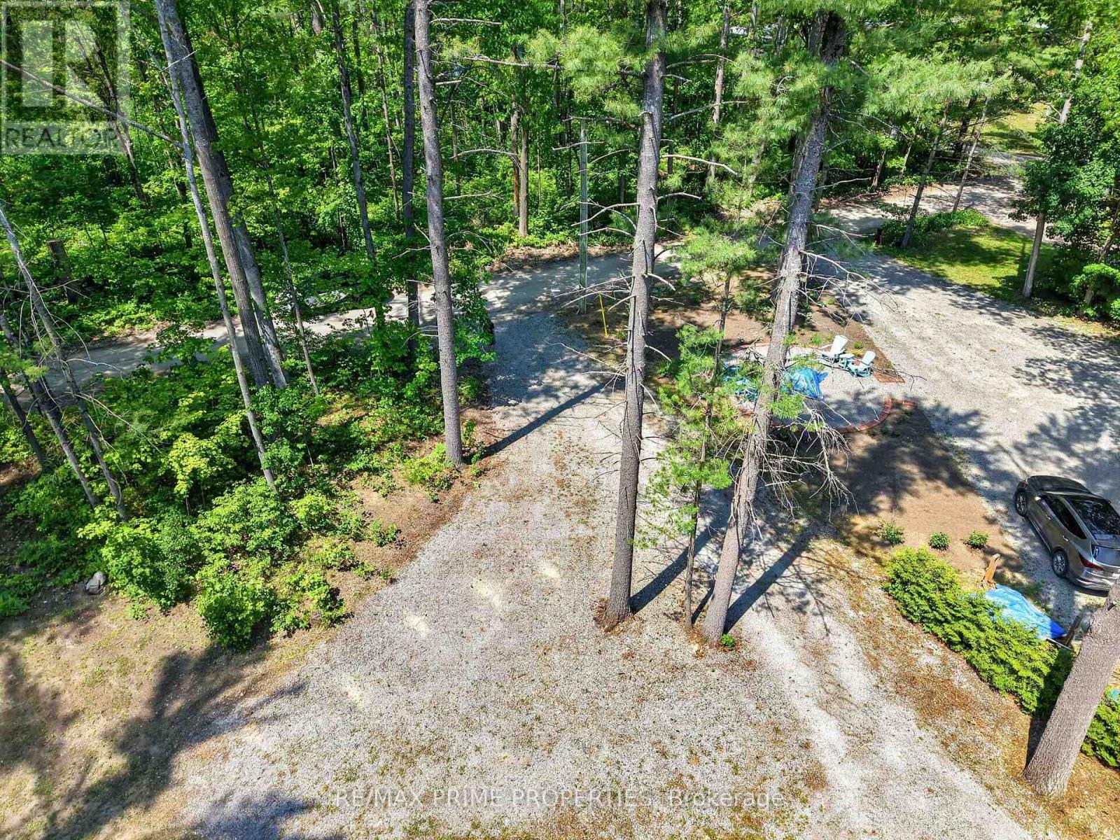 133 Stanley Road, Kawartha Lakes, Ontario  K0M 2T0 - Photo 38 - X13801796