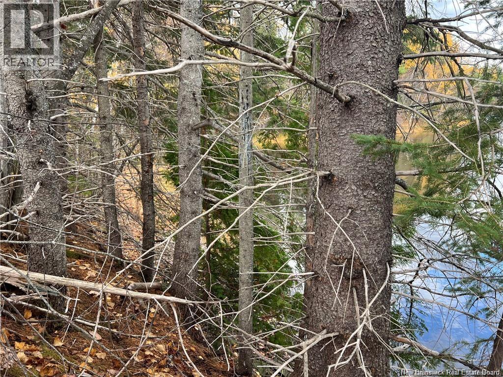 Lot 24-3 Creekview Lane, Galloway, New Brunswick  E4W 2G6 - Photo 10 - NB148157