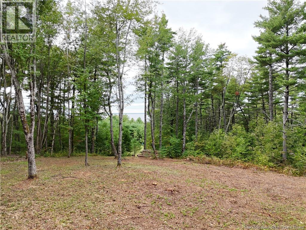 Lot 6 Pine Grove Lane, Jemseg, New Brunswick  E4C 4L7 - Photo 10 - NB148103