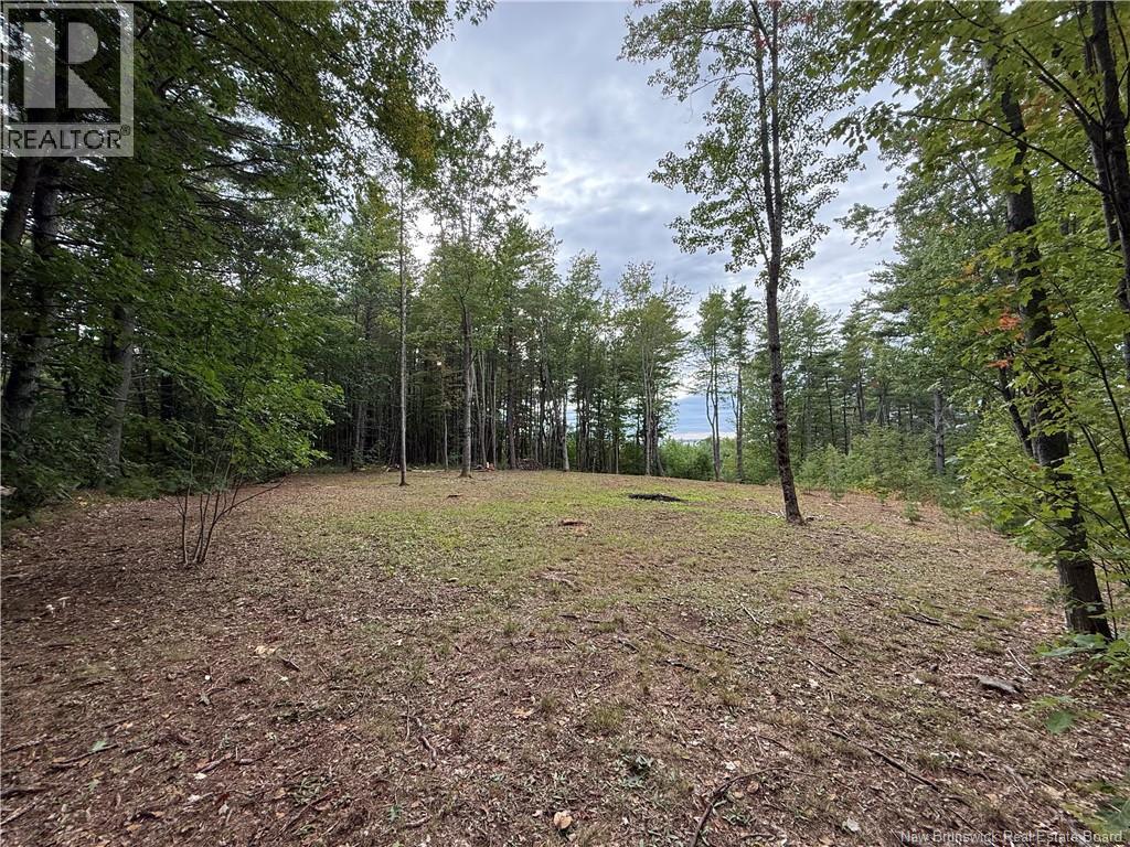 Lot 6 Pine Grove Lane, Jemseg, New Brunswick  E4C 4L7 - Photo 11 - NB148103