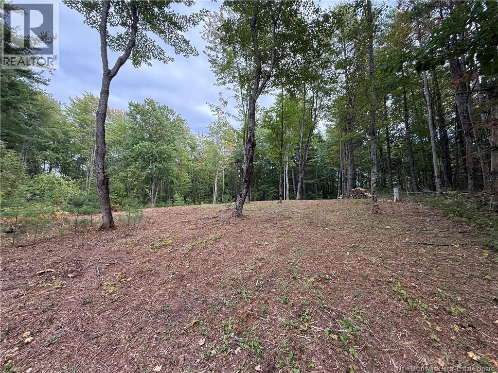Lot 6 Pine Grove Lane, Jemseg, New Brunswick  E4C 4L7 - Photo 12 - NB148103