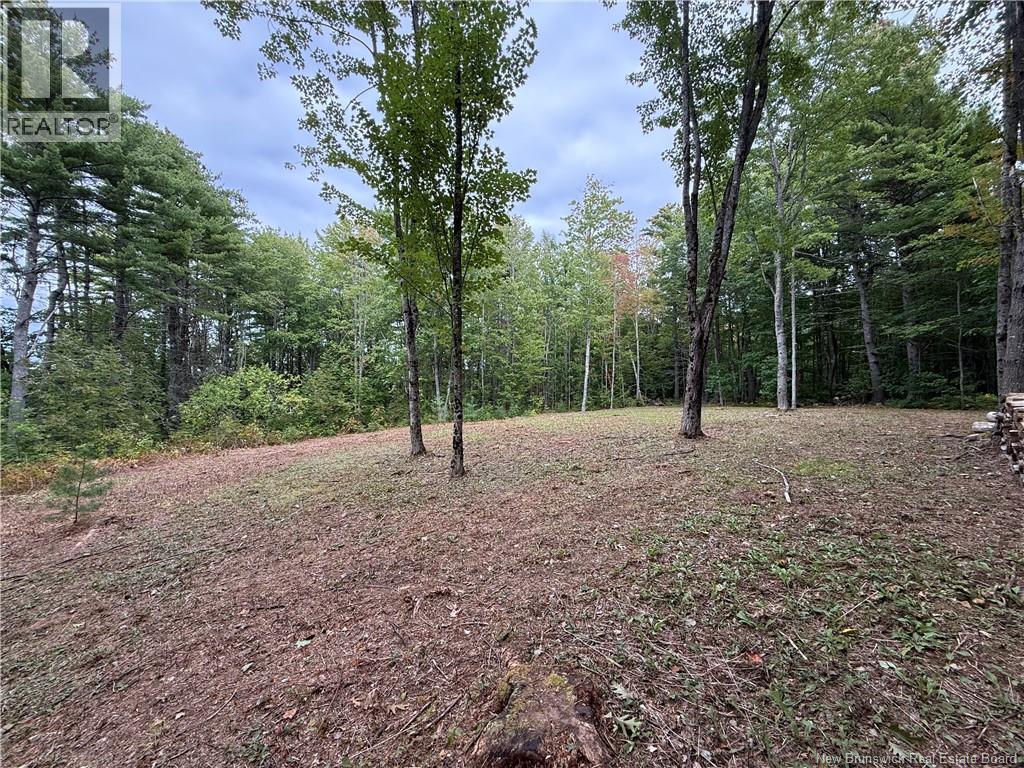 Lot 6 Pine Grove Lane, Jemseg, New Brunswick  E4C 4L7 - Photo 13 - NB148103