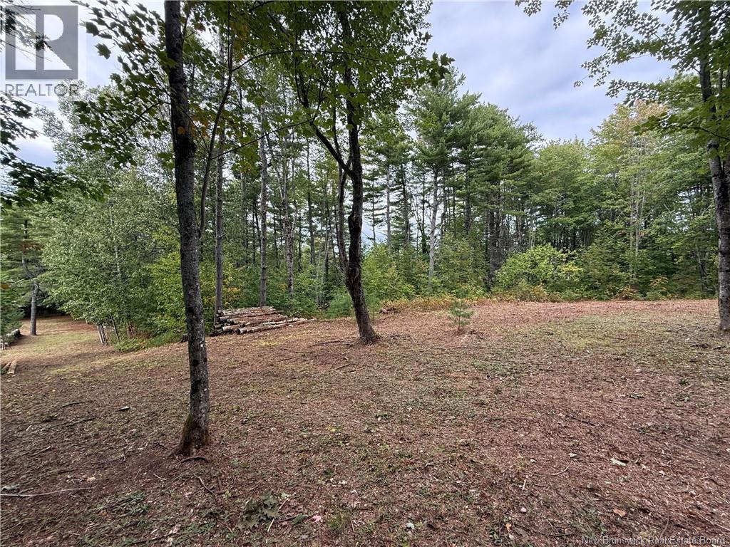 Lot 6 Pine Grove Lane, Jemseg, New Brunswick  E4C 4L7 - Photo 14 - NB148103