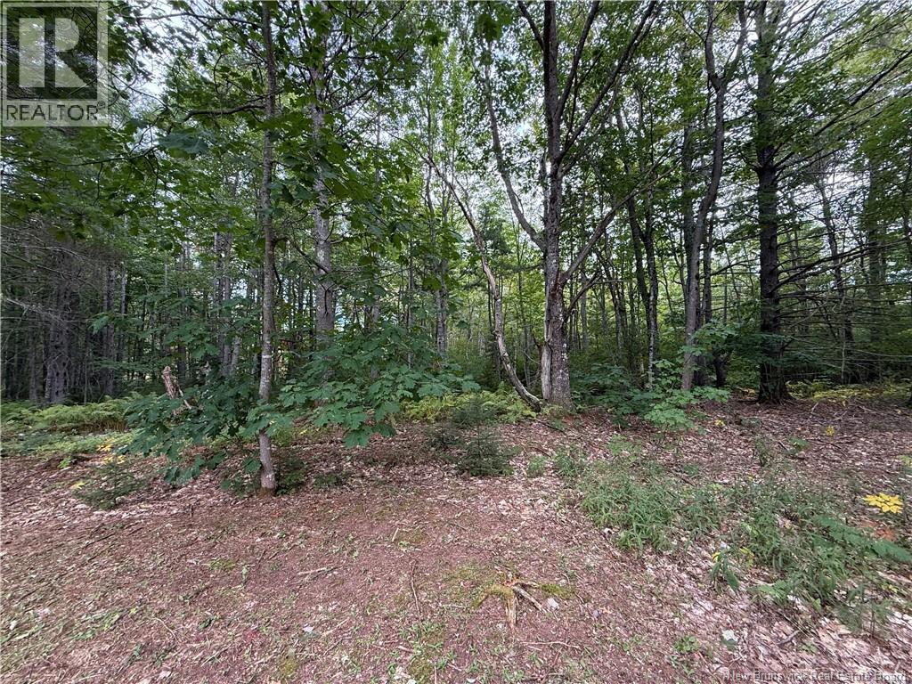 Lot 6 Pine Grove Lane, Jemseg, New Brunswick  E4C 4L7 - Photo 15 - NB148103