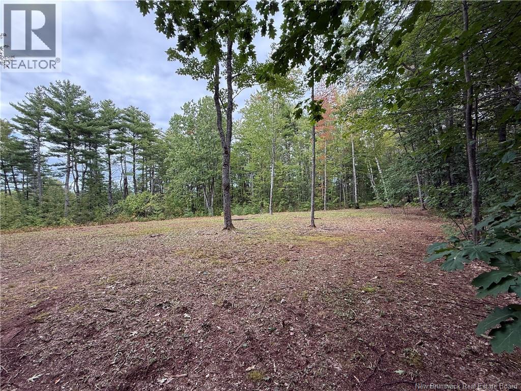 Lot 6 Pine Grove Lane, Jemseg, New Brunswick  E4C 4L7 - Photo 16 - NB148103