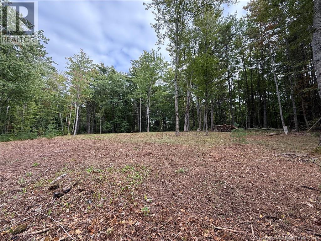 Lot 6 Pine Grove Lane, Jemseg, New Brunswick  E4C 4L7 - Photo 17 - NB148103