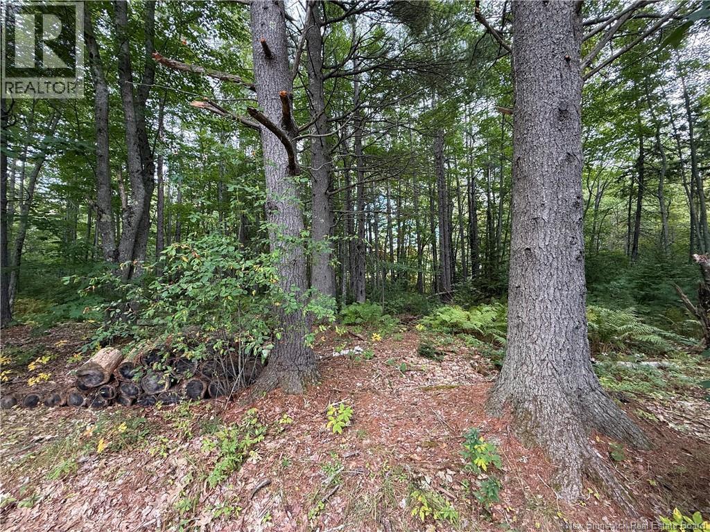 Lot 6 Pine Grove Lane, Jemseg, New Brunswick  E4C 4L7 - Photo 18 - NB148103